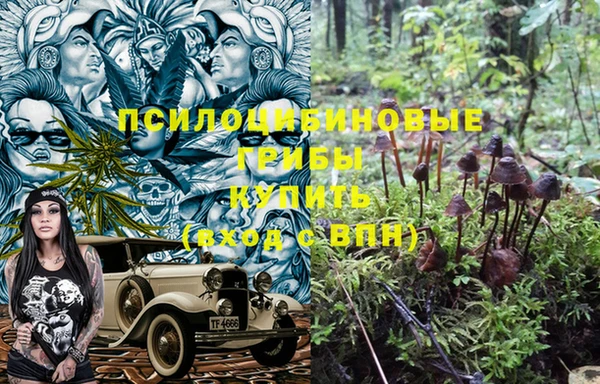 дурь Медвежьегорск