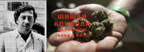 гашик Михайловка