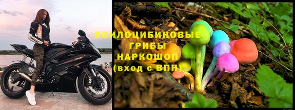 дурь Медвежьегорск