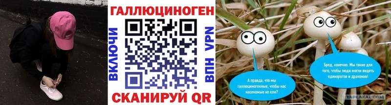Псилоцибиновые грибы прущие грибы  Красноярск 