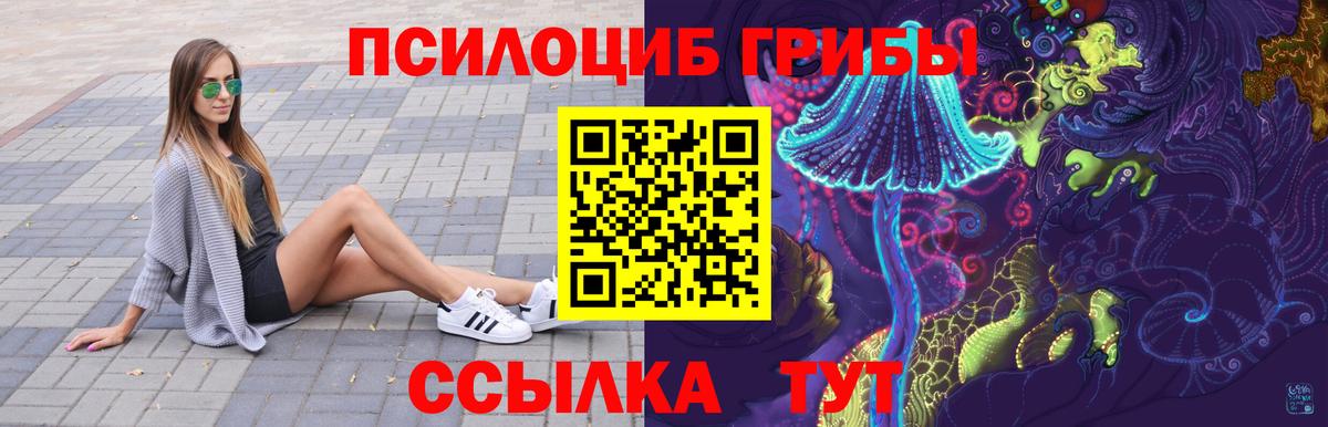 где купить   Красноярск  Псилоцибиновые грибы мицелий 